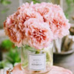 Meet your Posher, J.